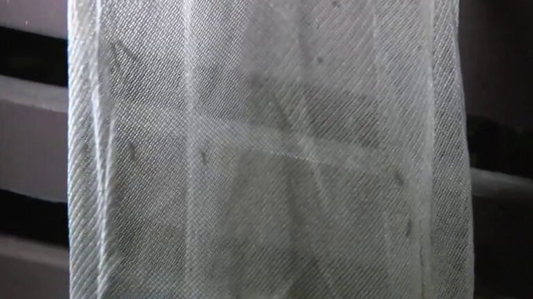 Mosquito Problem in El Segundo: Residents Share How It's Affected Their Daily Lives