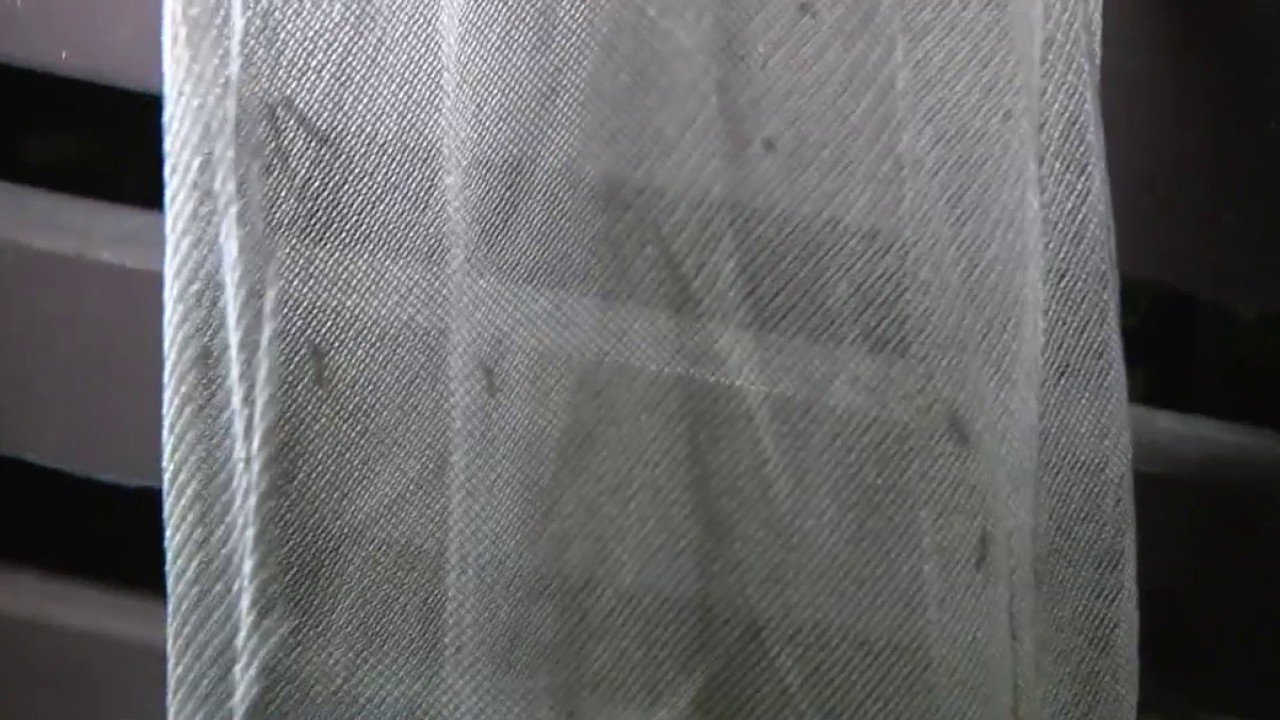 Mosquito Problem in El Segundo: Residents Share How It's Affected Their Daily Lives