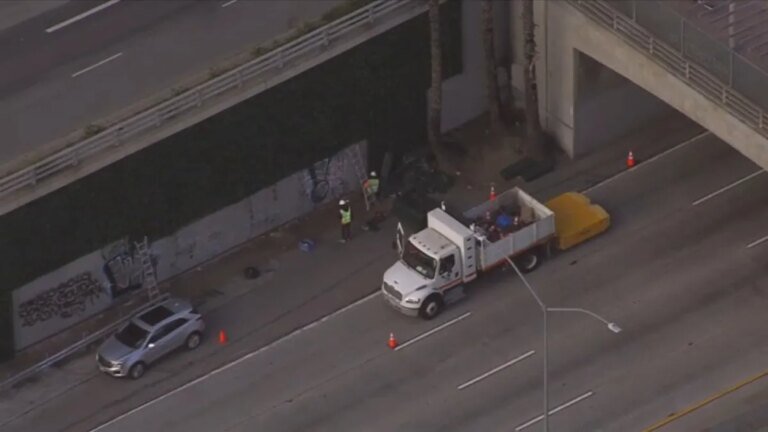 New Ivy Installed on 101 Freeway in Downtown LA to Help Prevent Graffiti