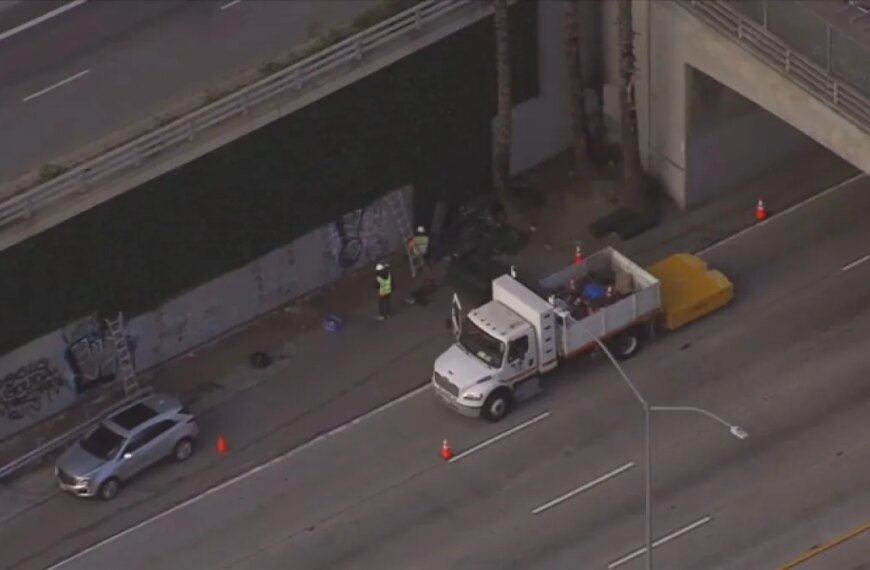 New Ivy Installed on 101 Freeway in Downtown LA to Help Prevent Graffiti