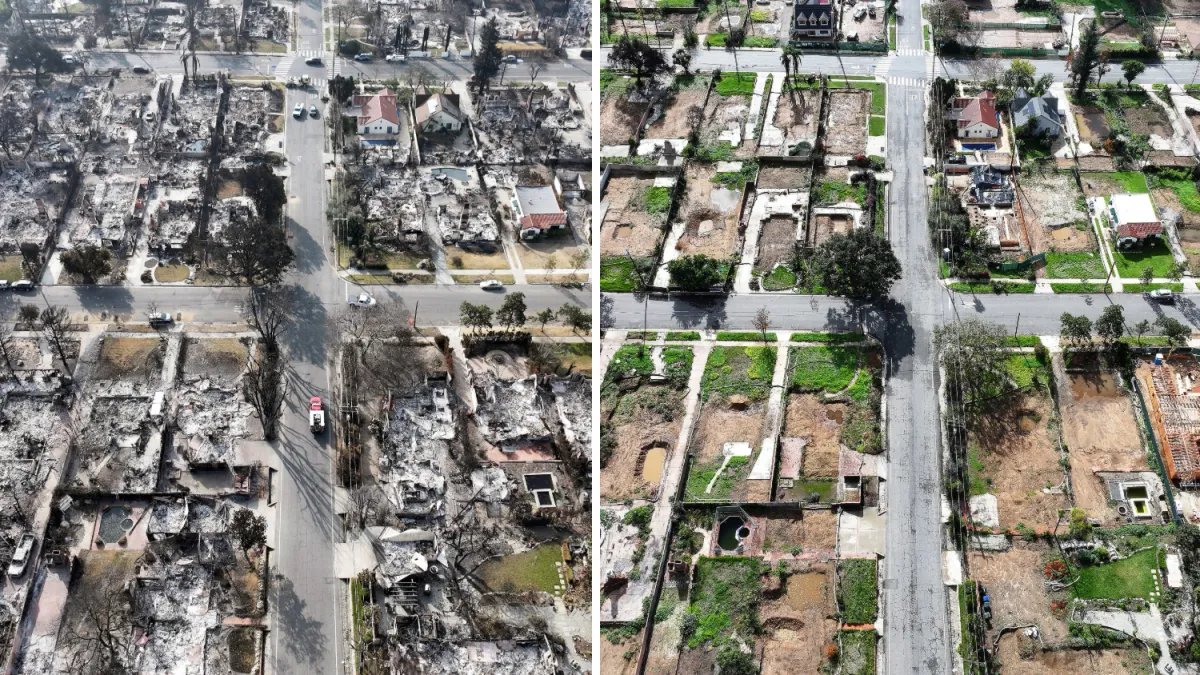Palisades and Altadena: A Year of Change Since the Wildfires