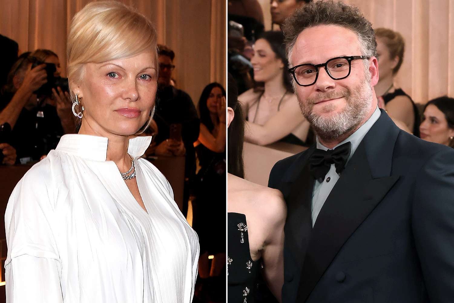 Pamela Anderson Was Uncomfortable Around Seth Rogen at the Golden Globes After His Show Depicted a Difficult Time in Her Life