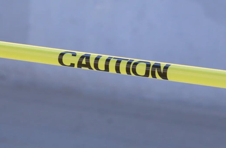 Pedestrian Dies After Being Struck by Driver in Harbor City