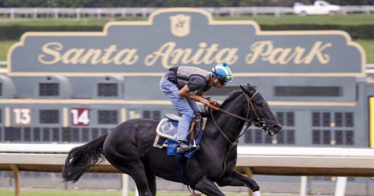 Santa Anita Park Files Lawsuit Against California DOJ Over Betting Machine Seizure