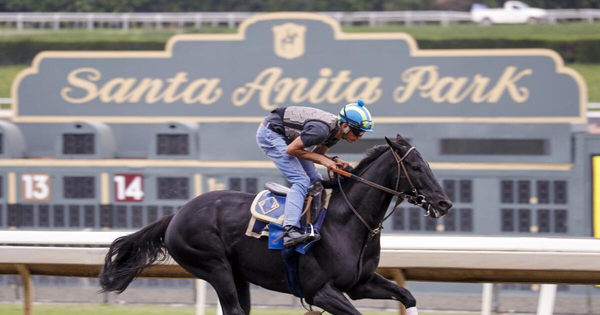 Santa Anita Park Files Lawsuit Against California DOJ Over Betting Machine Seizure
