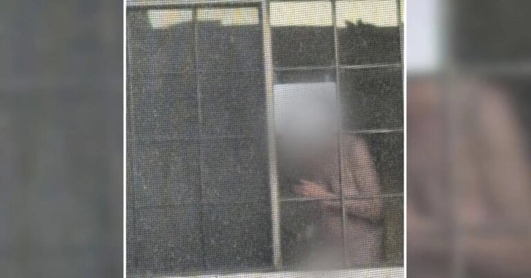 Sherman Oaks Residents Concerned About Naked Neighbor Walking Around in His Home