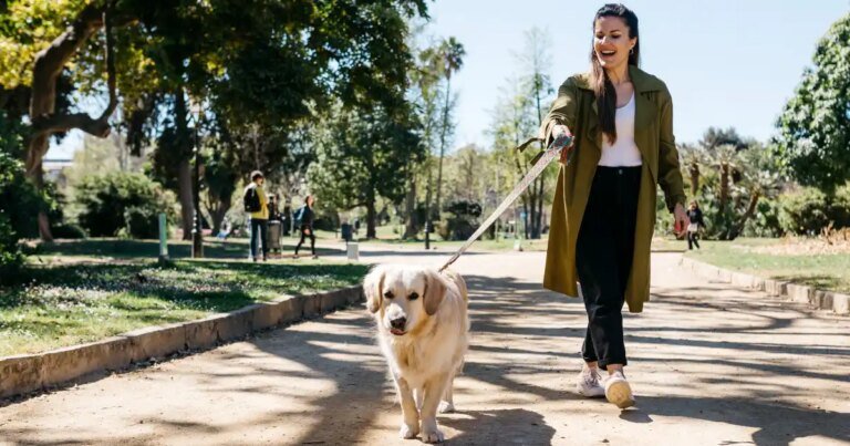 Support Your Dog's Energy, Digestion, and Movement with This Vet-Approved Multivitamin