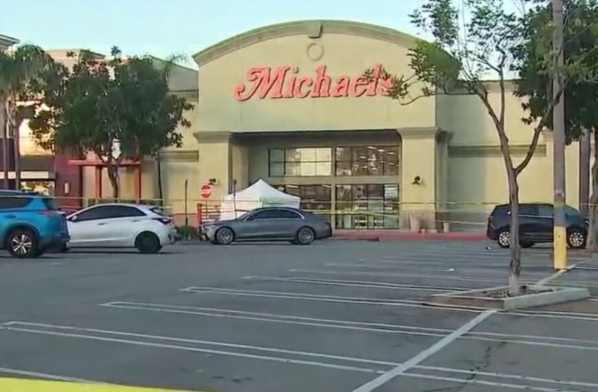 Suspect in Robbery Incident Killed During Police Surveillance in West Hills