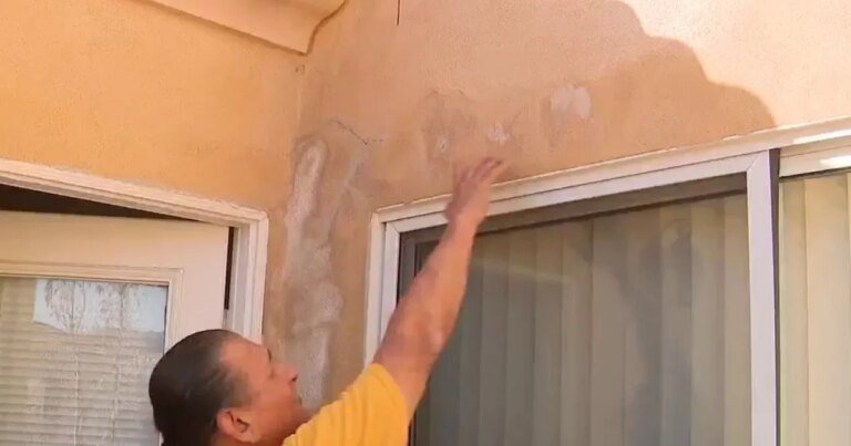 Tenant in Santa Clarita Raises Concerns About Toxic Mold in Townhouse and Lack of Action