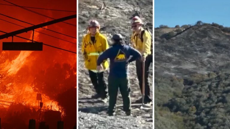 Testimony Shows State Parks Employees Missed Reporting Smoldering Lachman Fire Before It Erupted into the Palisades Fire