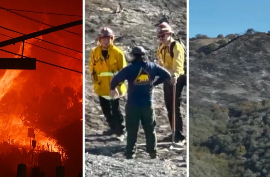 Testimony Shows State Parks Employees Missed Reporting Smoldering Lachman Fire Before It Erupted into the Palisades Fire