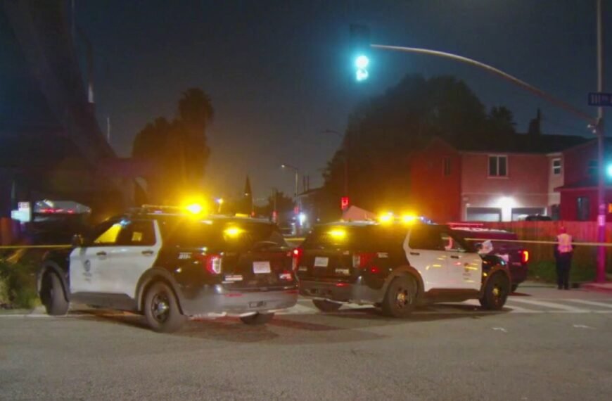 Tragic Hit-and-Run Accident Claims Life of Pedestrian in South LA