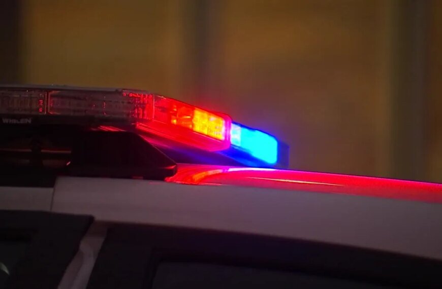 Two Arrested Following Suspected Kidnapping in Lake Balboa