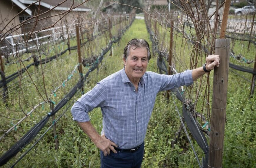 Vince Ferragamo: How Football Shaped His Journey to Becoming a Sommelier