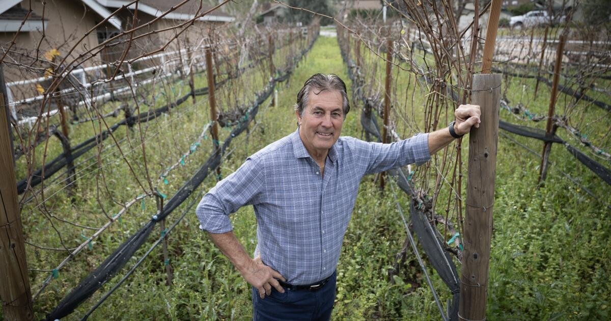 Vince Ferragamo: How Football Shaped His Journey to Becoming a Sommelier