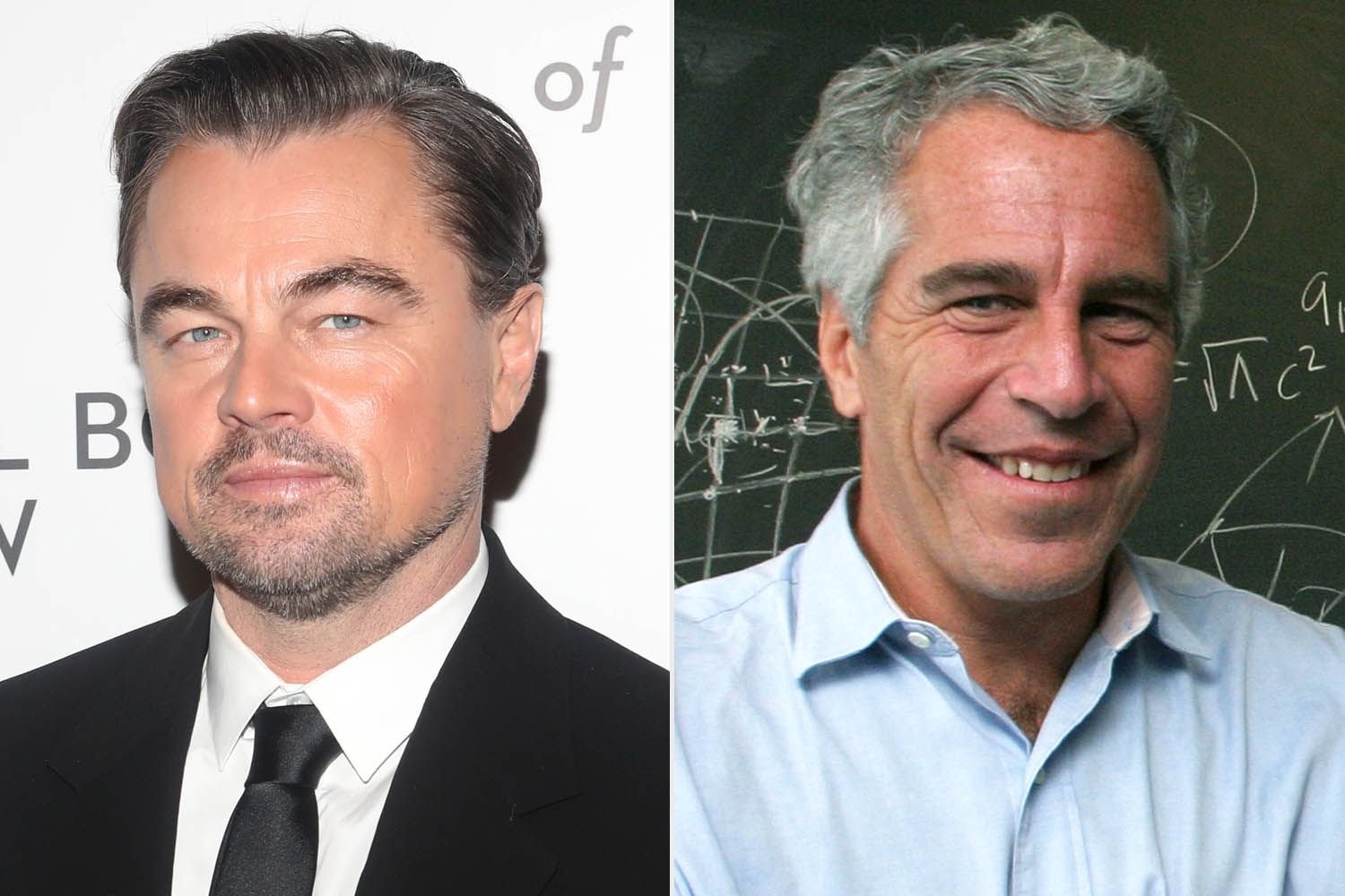New Files Reveal Jeffrey Epstein's Connection to Leonardo DiCaprio's Sponsorship Requests