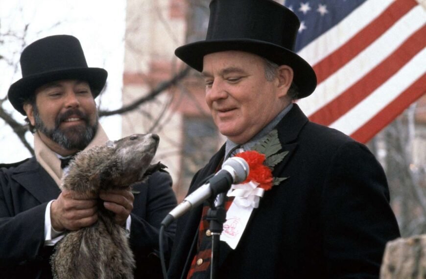 Find the Best Ways to Watch Groundhog Day Online