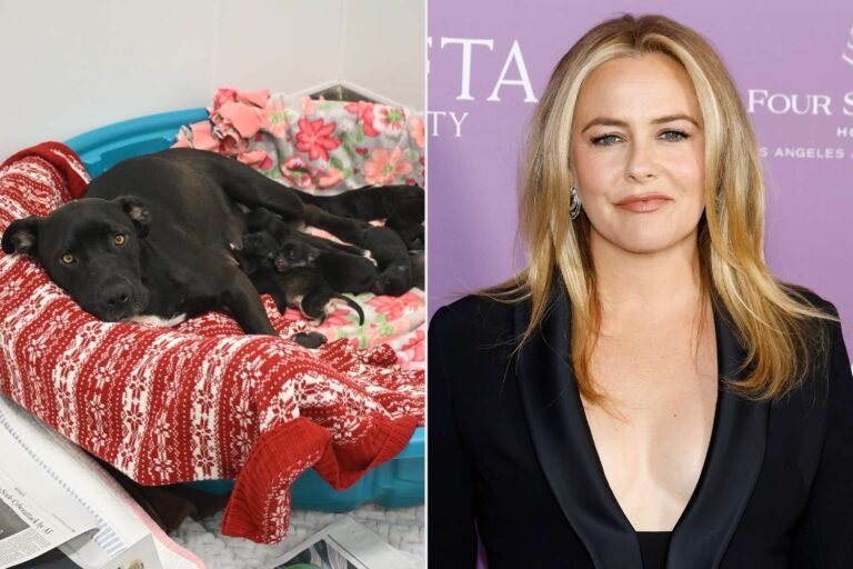 Alicia Silverstone Steps In to Rescue Pregnant Dog and Her Puppies from Euthanasia: Why Adoption is a Wonderful Choice