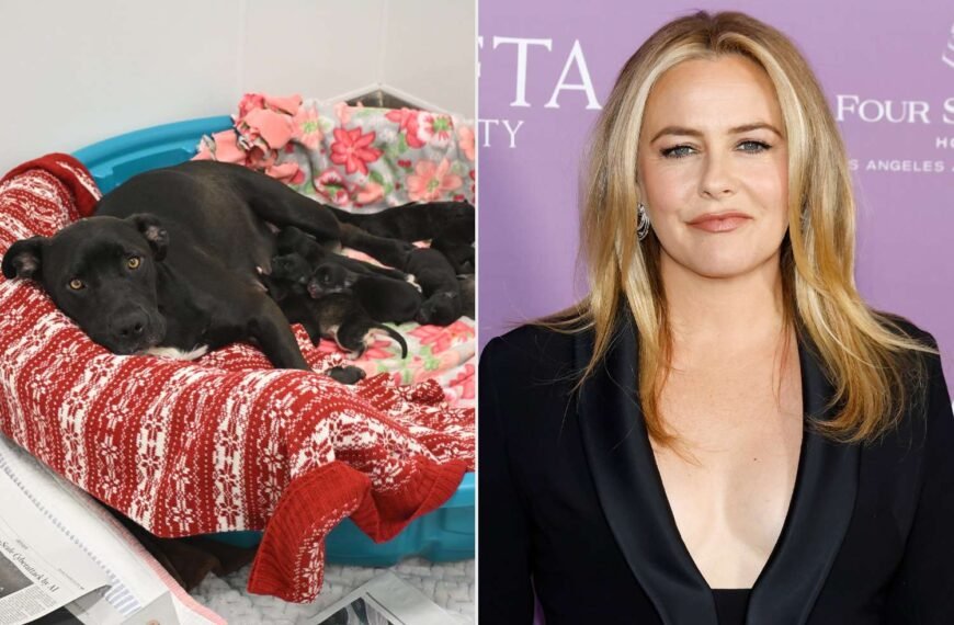 Alicia Silverstone Steps In to Rescue Pregnant Dog and Her Puppies from Euthanasia: Why Adoption is a Wonderful Choice