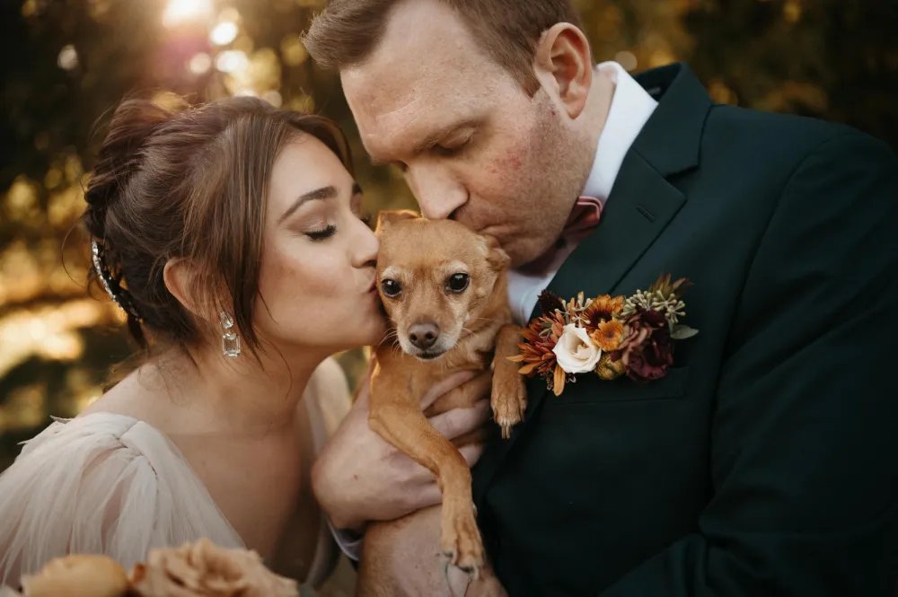 Poppy - Embark DNA Test