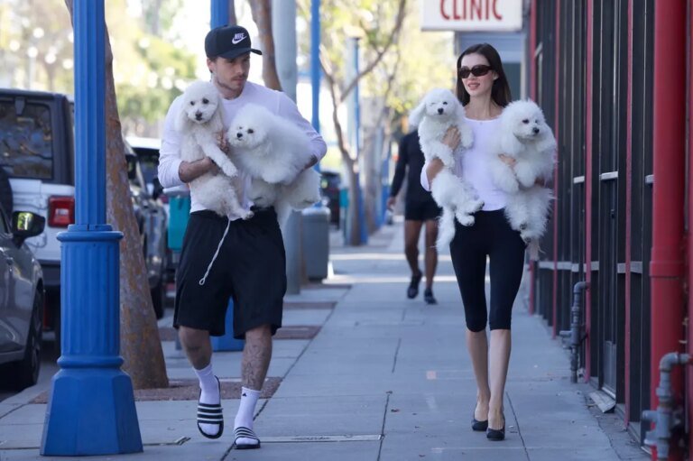 Brooklyn Beckham and Nicola Peltz Coordinate Their Looks and Dogs on a Walk in LA