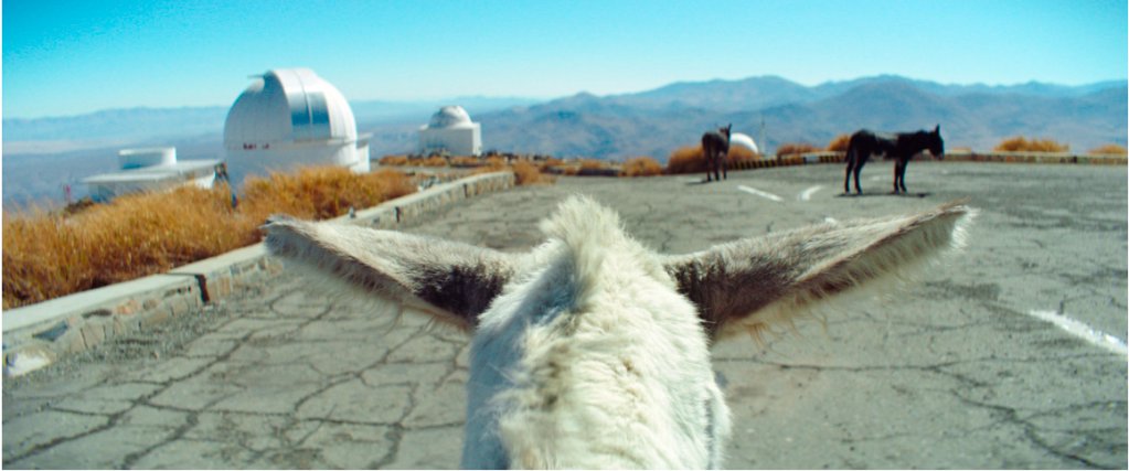 Oscar-Nominated Filmmaker Adds a Unique Flavor to Hollywood