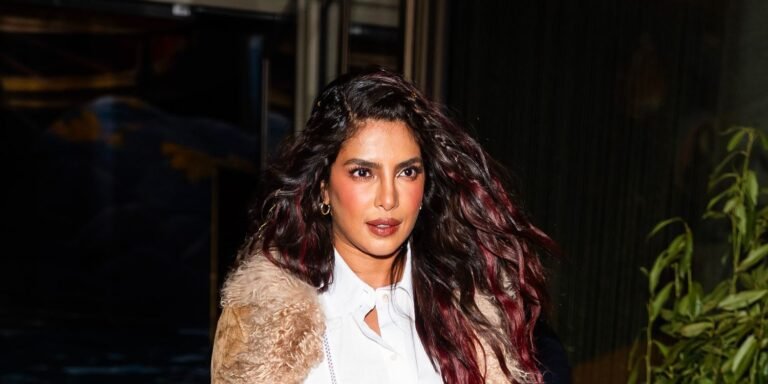 Priyanka Chopra Debuts Her Gorgeous Ombré Curls and Nostalgic 2010s Braids