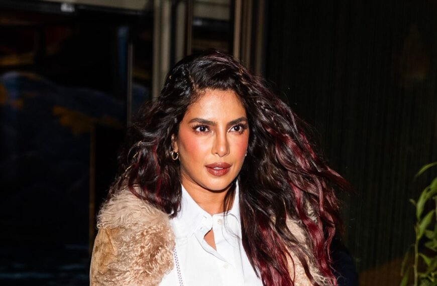 Priyanka Chopra Debuts Her Gorgeous Ombré Curls and Nostalgic 2010s Braids