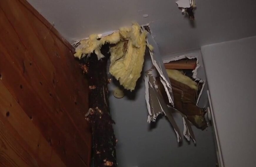 A Large Tree Falls on a Home in Running Springs