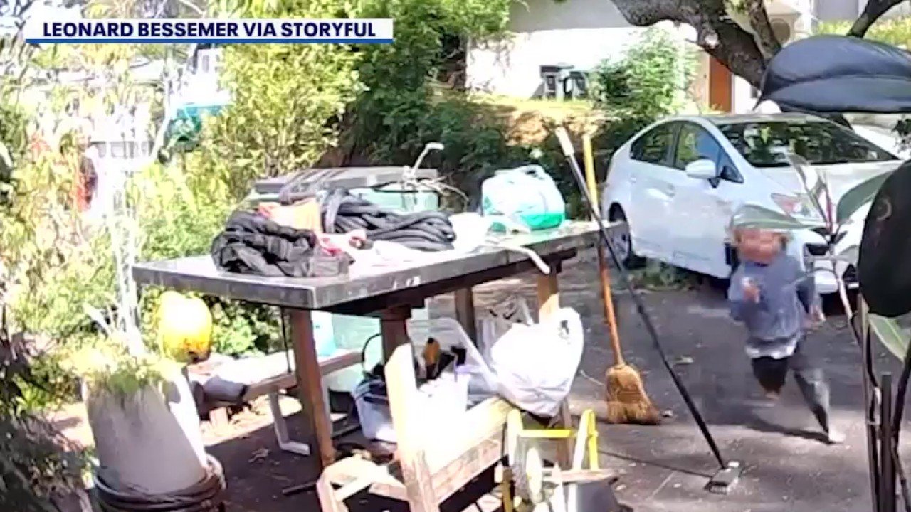 Coyote Spotted Chasing Toddler in Southern California Neighborhood