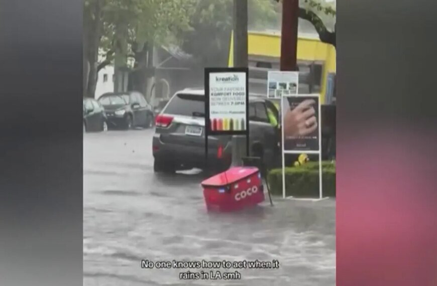 Food Delivery Robot Faces Challenges in Flooded West Hollywood Streets