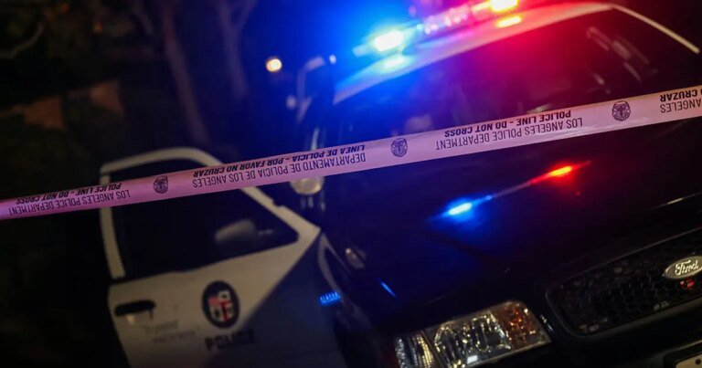 Homicides Decrease by 27% in 2025 in Areas of LA Affected by Violence