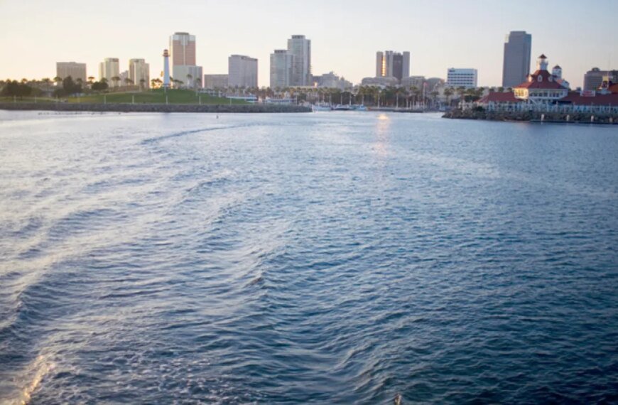 LA Galaxy World Cup Celebration Coming to Long Beach This Summer