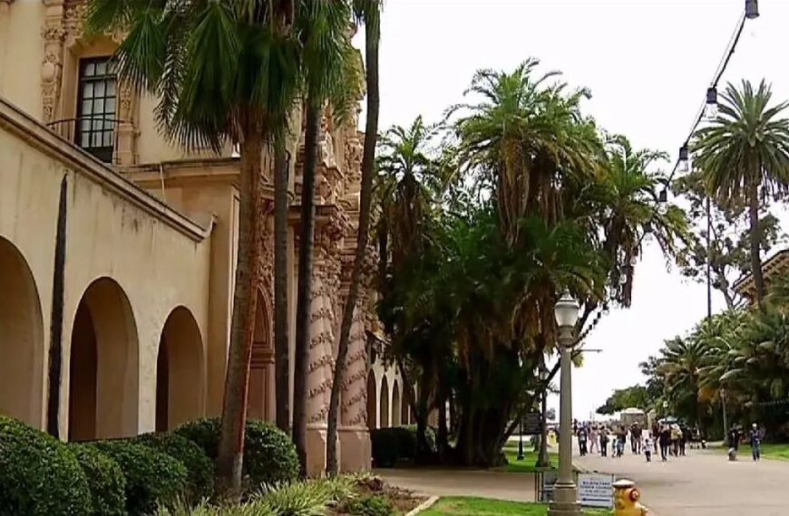 LA Wants Your Input on Proposed Tax Increases for Hotels and Unlicensed Cannabis Businesses