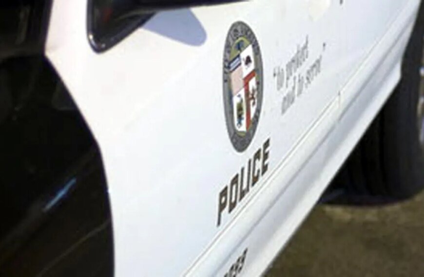 Man Taken into Custody Following Burglaries at Two Hollywood Shops