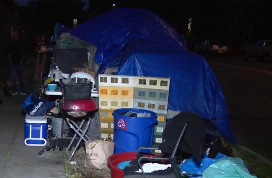 Neighbors Share Public Safety Worries on Western Avenue Amid Encampments and Prostitution