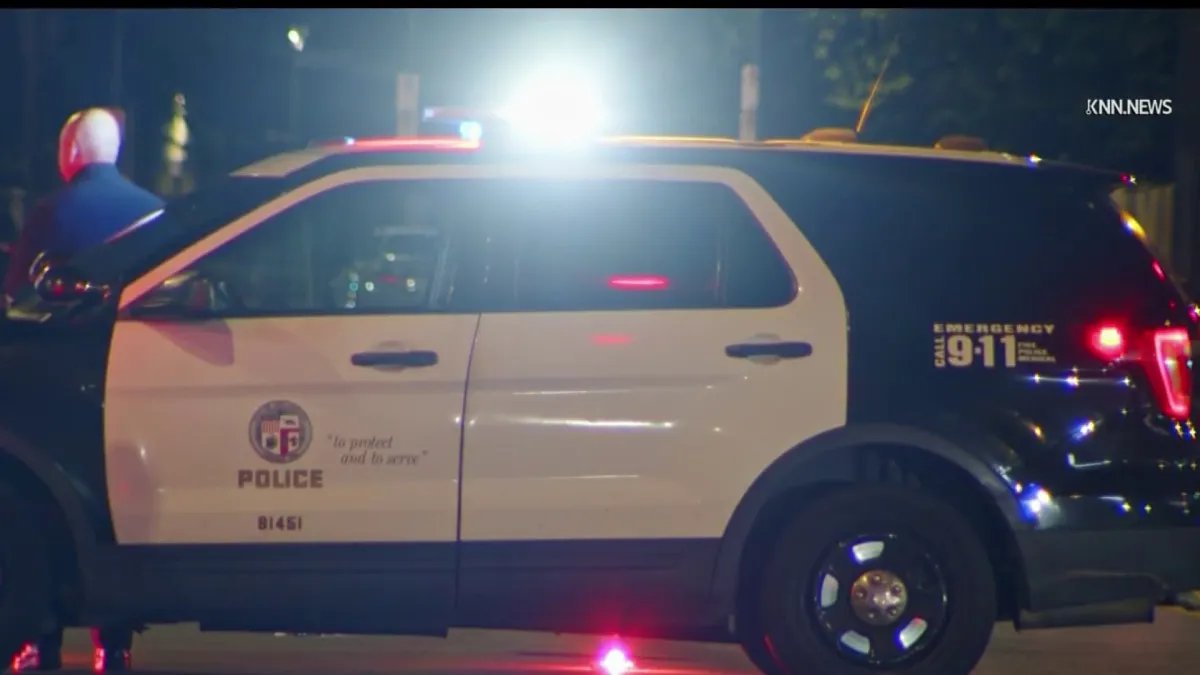 Police Seek Driver Involved in Van Nuys Hit-and-Run事故