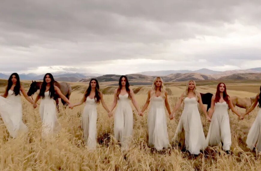 Propagate Content Secures $50 Million Investment from Ares Management