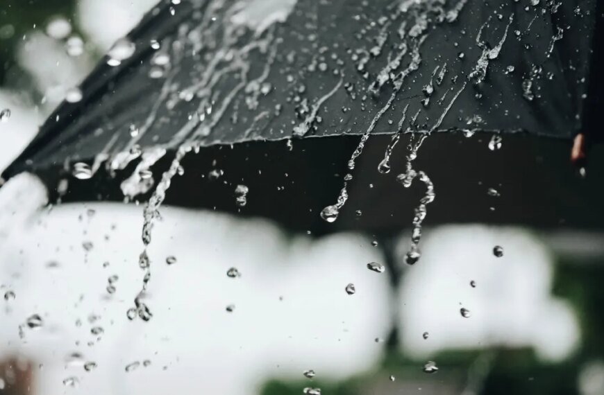 Rainfall Totals in SoCal After This Week’s Storm