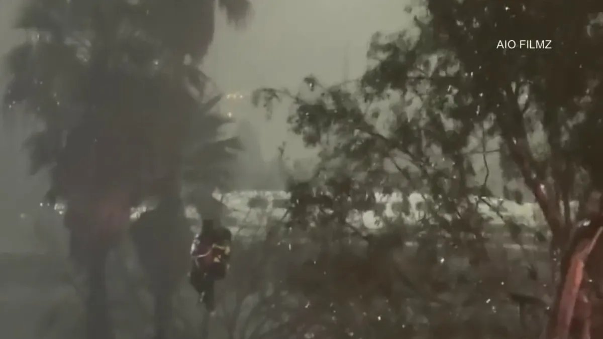 Rescue Operation Saves Man from LA River in Elysian Valley