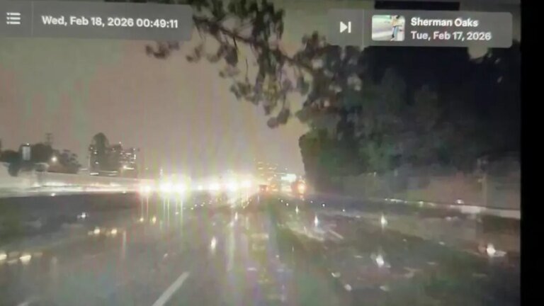 Southbound 405 Freeway Closed Temporarily Due to Fallen Tree