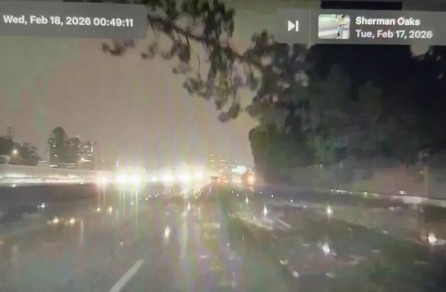 Southbound 405 Freeway Closed Temporarily Due to Fallen Tree