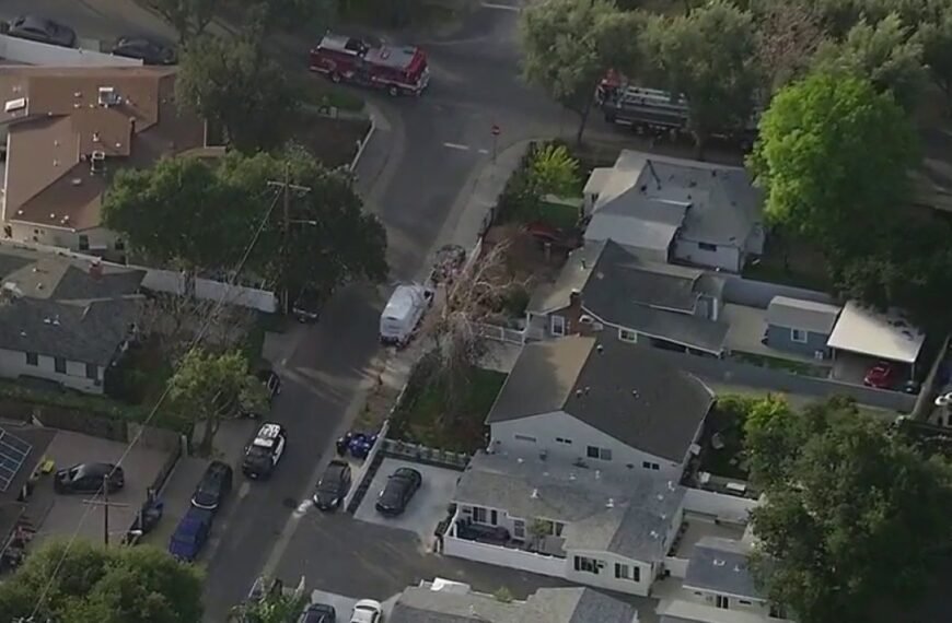 Stabbing Incident in Sunland Involves 10-Year-Old Girl and Hospitalized Man