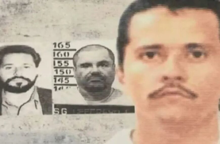 Understanding the Links Between Mexican Cartels and Southern California