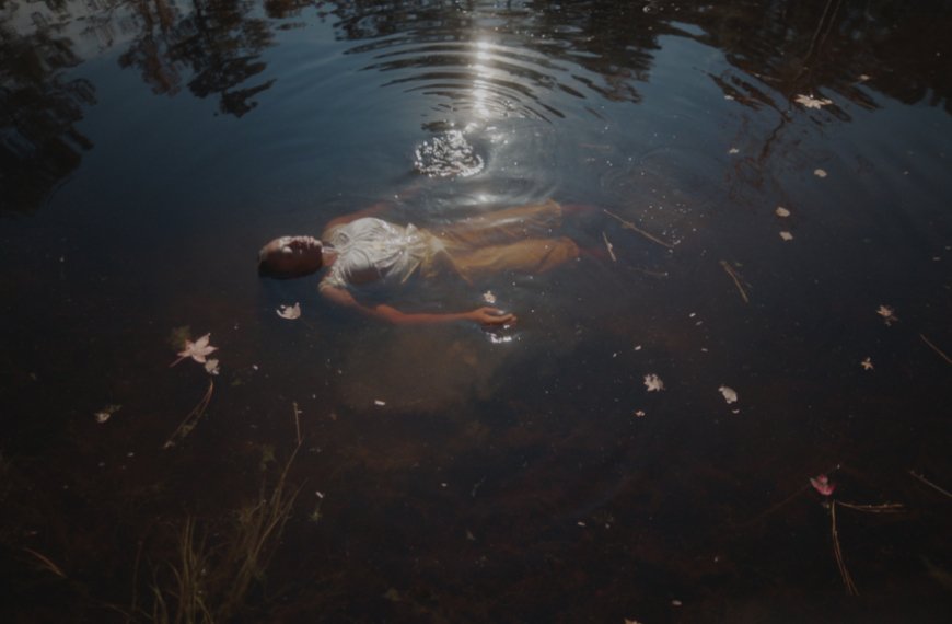 Allison Janae Hamilton Shares Insights on Her New Film 'Venus of Ossabaw' and Her Vision for Engaging Audiences with 'Floridaland'