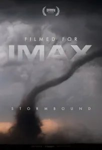'Stormbound' poster