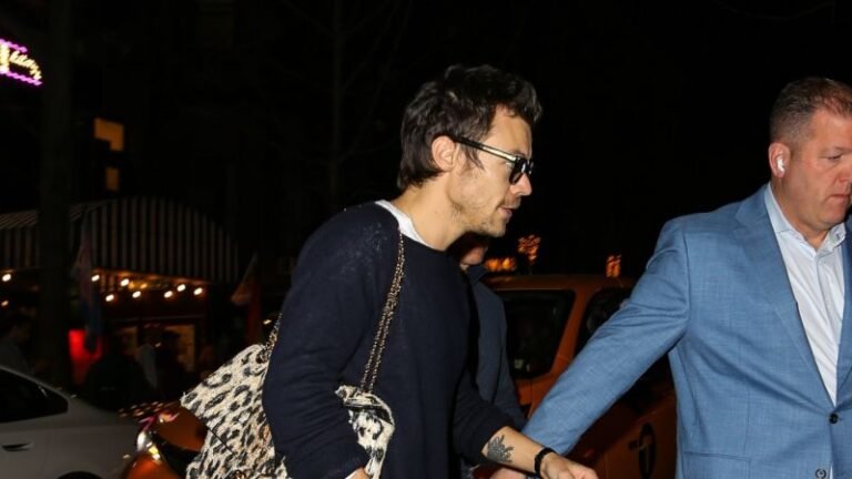 Harry Styles Shows That 'It-bags' Are Not Just for Women