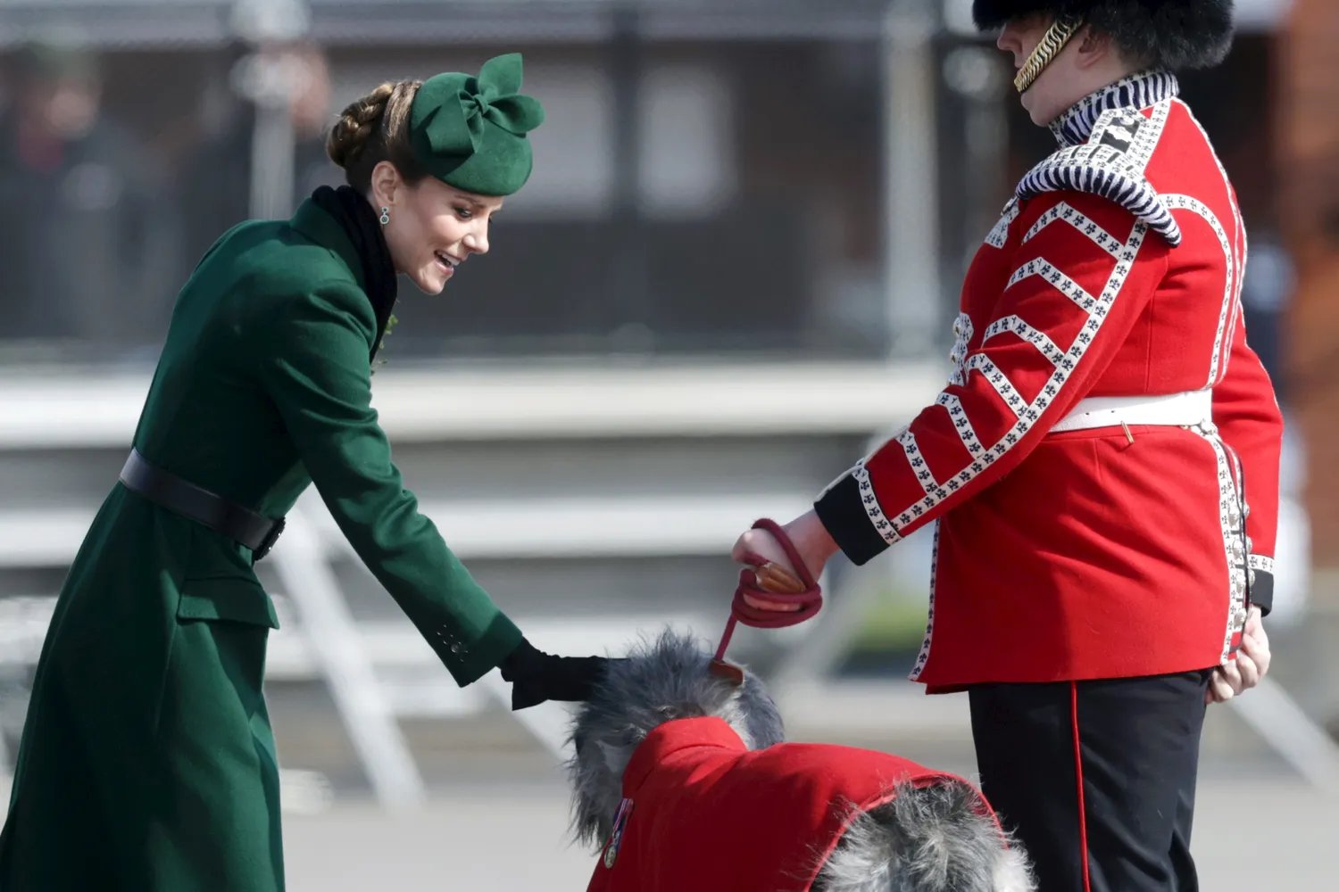 Kate Middleton petting Seamus the Irish Wolfhound on March 17, 2026