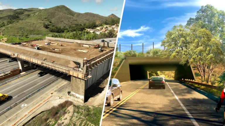 Agoura Road Closure for Wildlife Crossing Work on the 101 Freeway