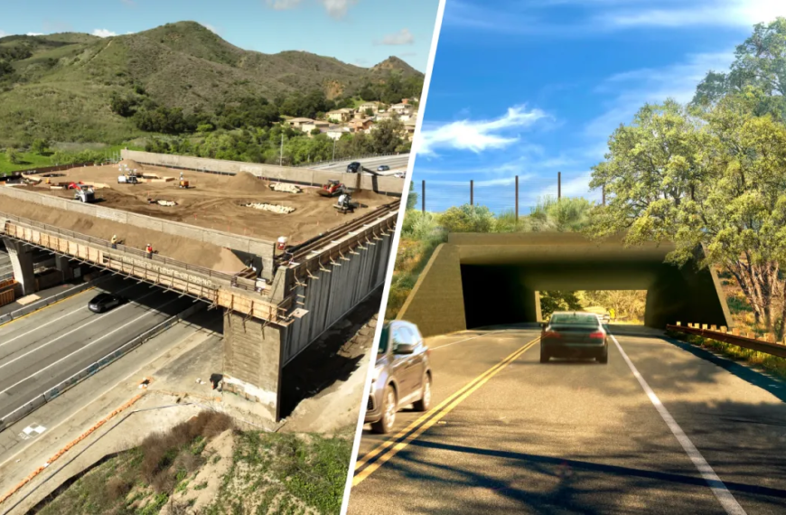 Agoura Road Closure for Wildlife Crossing Work on the 101 Freeway